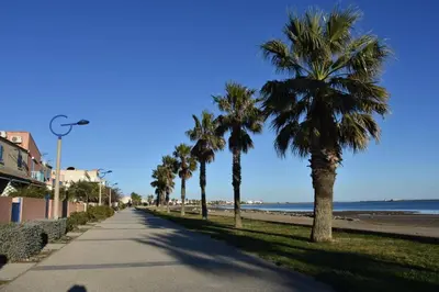 a street with palm trees on the beach at Joli pavillon - À deux pas de la plage du Grazel GA090-024 in Gruissan