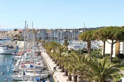 a group of boats docked in a marina with palm trees at Appartement avec terrasse et jolie vue sur port GN580-033 in Gruissan
