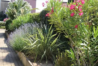 a garden with pink flowers and green plants at Appartement dernier étage à 300 m de la plage GN020-238 in Gruissan