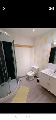 a bathroom with a toilet and a shower and a sink at bel appartement in Mirepoix
