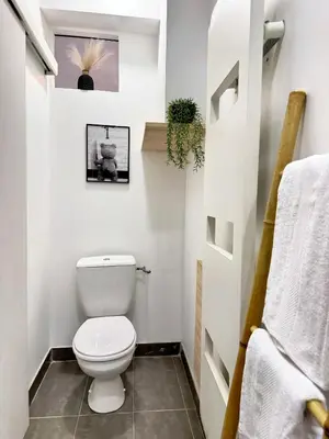 a small bathroom with a toilet and a plant at Narbonne centre New york in Narbonne