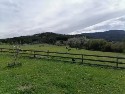 a fence in a field with cows in the distance at Gîte T3 terrasse Chalet in Puivert