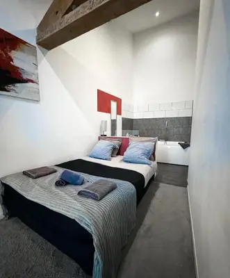 a bedroom with two beds and a bath tub at Les 5 Lys in Carcassonne