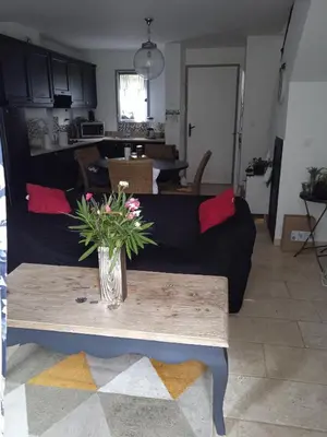 a living room with a black couch and a table with flowers at Maison T3 avec spa in Saint-Laurent-de-la-Cabrerisse