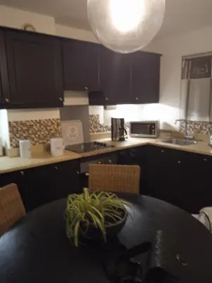 a kitchen with a table with a potted plant on it at Maison T3 avec spa in Saint-Laurent-de-la-Cabrerisse