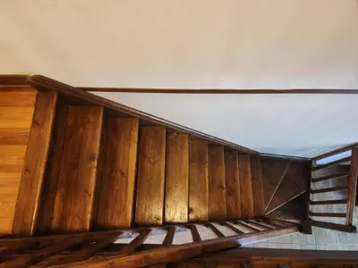 a wooden staircase in a room with a wooden wall at L'ECRIN DU LAC - Ô Cèpes in Mazamet