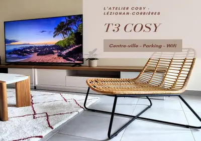 a rattan chair in a living room with a tv at L'Atelier Cosy in Lézignan-Corbières