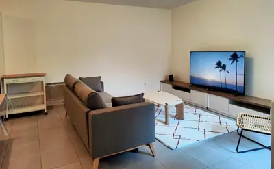 a living room with a couch and a flat screen tv at L'Atelier Cosy in Lézignan-Corbières