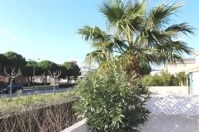 a palm tree next to a fence and a street at Pavillon dans résidence avec piscine Grazel GA090-056 in Gruissan