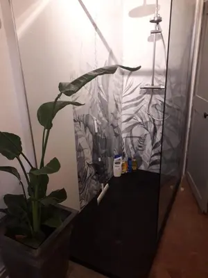 a bathroom with a shower with a plant in it at Maison Rose - Maison de village avec jardin privé, centre Capestang in Capestang
