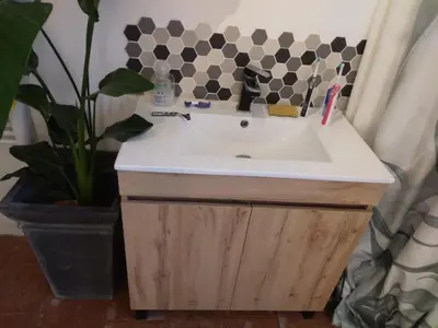 a bathroom with a sink and a potted plant at Maison Rose - Maison de village avec jardin privé, centre Capestang in Capestang