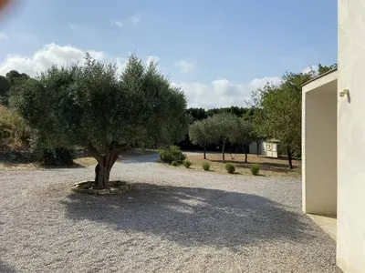 a tree sitting in the middle of a gravel driveway at Magnifique villa dans le massif de la Clape in Armissan