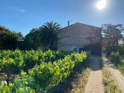 a bedroom with a bed and a table and a tv at Mas Vigneron in Puicheric