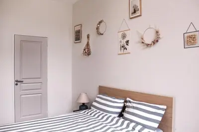 a bedroom with a bed with black and white striped pillows at Le Nayrac l Hypercentre l Parking privé in Castres