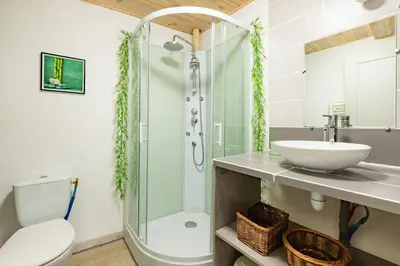 a bathroom with a shower and a toilet and a sink at L'Écrin des Bois - Au bord de l Aude in Espéraza