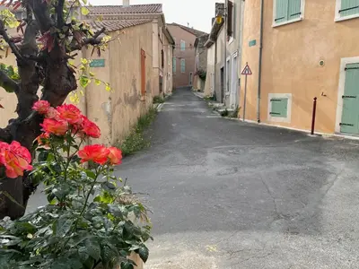 an empty street with red flowers in an alley at Modern apartment centrally located in Quarante in Quarante