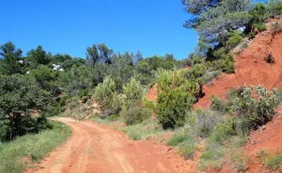 a dirt road on the side of a hill with trees at Château les Poules in Assignan