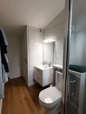 a bathroom with a white toilet and a sink at LA FALAISE - Quiet T3 apartment with private parking in Caucalières