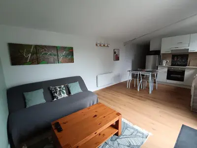 a living room with a couch and a table at LA FALAISE - Quiet T3 apartment with private parking in Caucalières