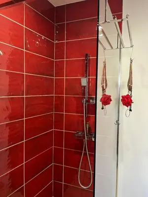 a bathroom with a shower with red tiles at La Novèla, Maison de Village Rooftop in Port-la-Nouvelle