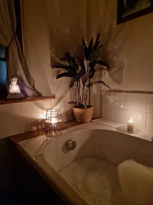 a bath tub with a potted plant in a bathroom at Very charming village house in Capendu