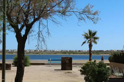 a park with a bench and a palm tree and water at Maison 3 pièces - Gruissan GN500-022 in Gruissan