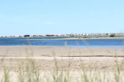 a beach with a body of water and some grass at Maison 3 pièces - Gruissan GN500-022 in Gruissan