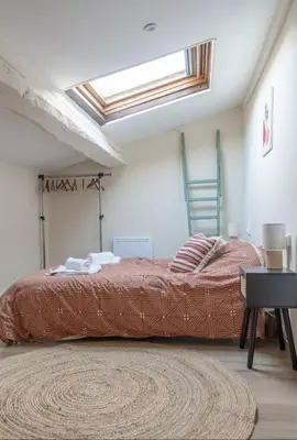 a bedroom with a bed in a room with a skylight at Chez Seb - Raffiné et Accueillant in Carcassonne