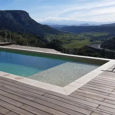 Alzina