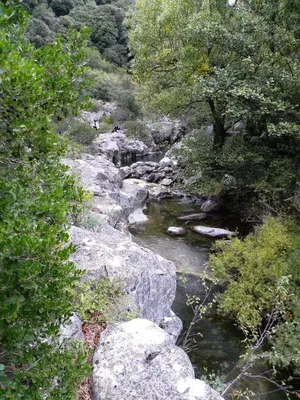 a stream of water with rocks and trees at Gite la Bonté, chaleureux avec une vue enchantée in Vélieux