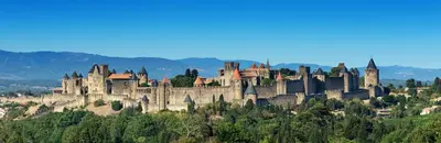 a castle on top of a hill with trees at Au Pied des Remparts-Cité Médiévale in Carcassonne