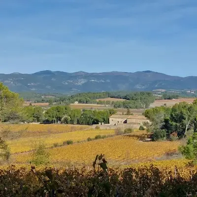 House on winery
