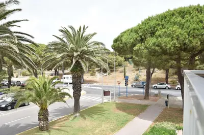 a view of a street with palm trees and a road at Appartement 2 pièces - Gruissan GN580-028 in Gruissan