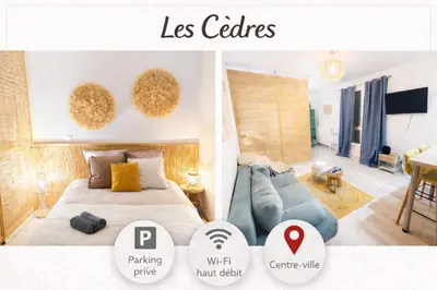 a poster of a bedroom with a bed and a couch at Les Cèdres - grand studio - neuf in Castres