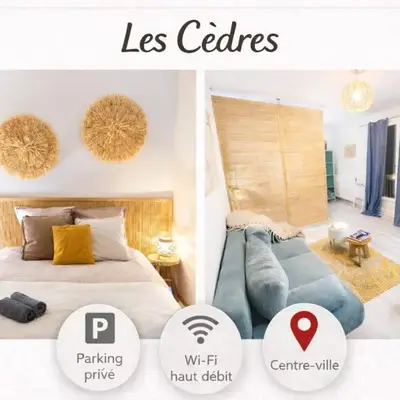 Les Cèdres - grand studio - neuf
