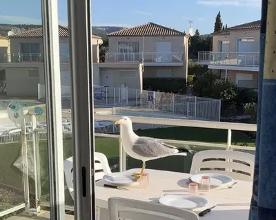a seagull standing on a table on a balcony at Appartement climatisé avec piscine - Vue Clape GN190-711 in Gruissan