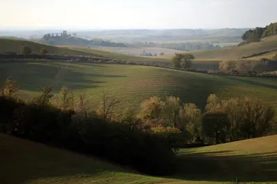 a green field with trees in the middle of it at Argein in Villautou