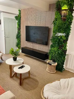 a living room with a flat screen tv and plants at Charmante maison de village in Pennautier