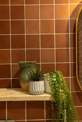 a shelf with two vases and a plant on it at Maison Zellige - Rooftop - Gruissan Center in Gruissan