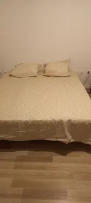 a large bed with two pillows on top of it at Maison calme in Payrin-Augmontel
