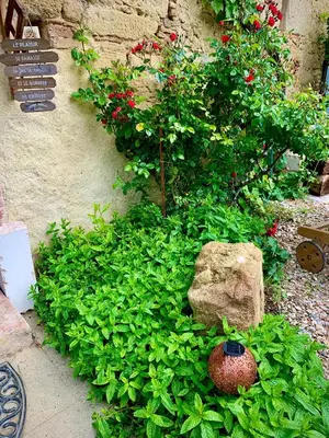 a garden with a rock and plants and flowers at La Main du Cœur Chambre d'hôtes de charme à la campagne in Loubens-Lauragais