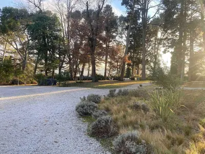 a gravel road with trees and plants in a park at Ferrabouc in Mas-Saintes-Puelles