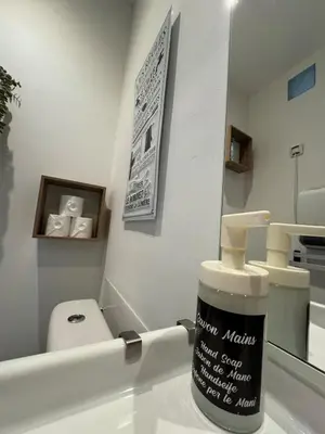 a bathroom with a toilet and a container on a sink at La maison Auguste - vue imprenable sur la Cité in Carcassonne