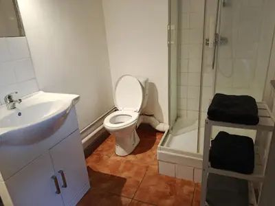 a bathroom with a toilet and a sink and a shower at Grand studio proche centre in Narbonne