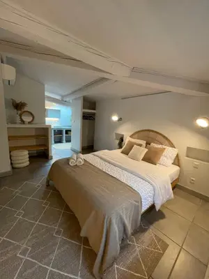 a bedroom with a large bed in a room at La Tuilerie du Bazalac in Trèbes