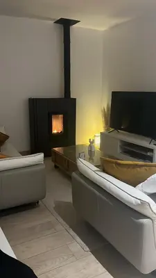 a living room with a tv and a fireplace at Cocon mazerien in Mazères