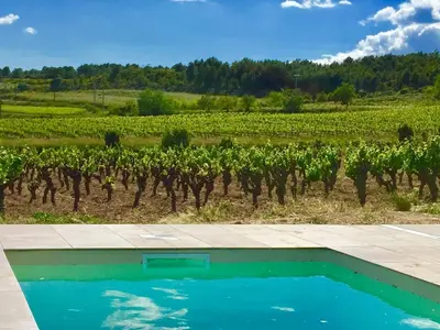a small house in the middle of a field at Demeure Charmante avec Piscine privée au coeur des Vignes in Quarante