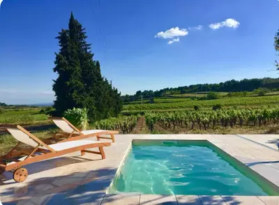 a swimming pool with two chairs and a tree at Demeure Charmante avec Piscine privée au coeur des Vignes in Quarante