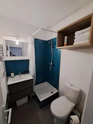 a small bathroom with a toilet and a sink at studio proche Narbonne centre in Narbonne