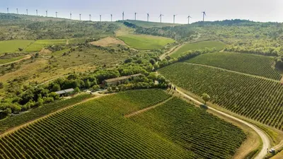 an aerial view of a vineyard with wind turbines at Maison - piscine - Vue vignobles coeur de nature in Roquetaillade